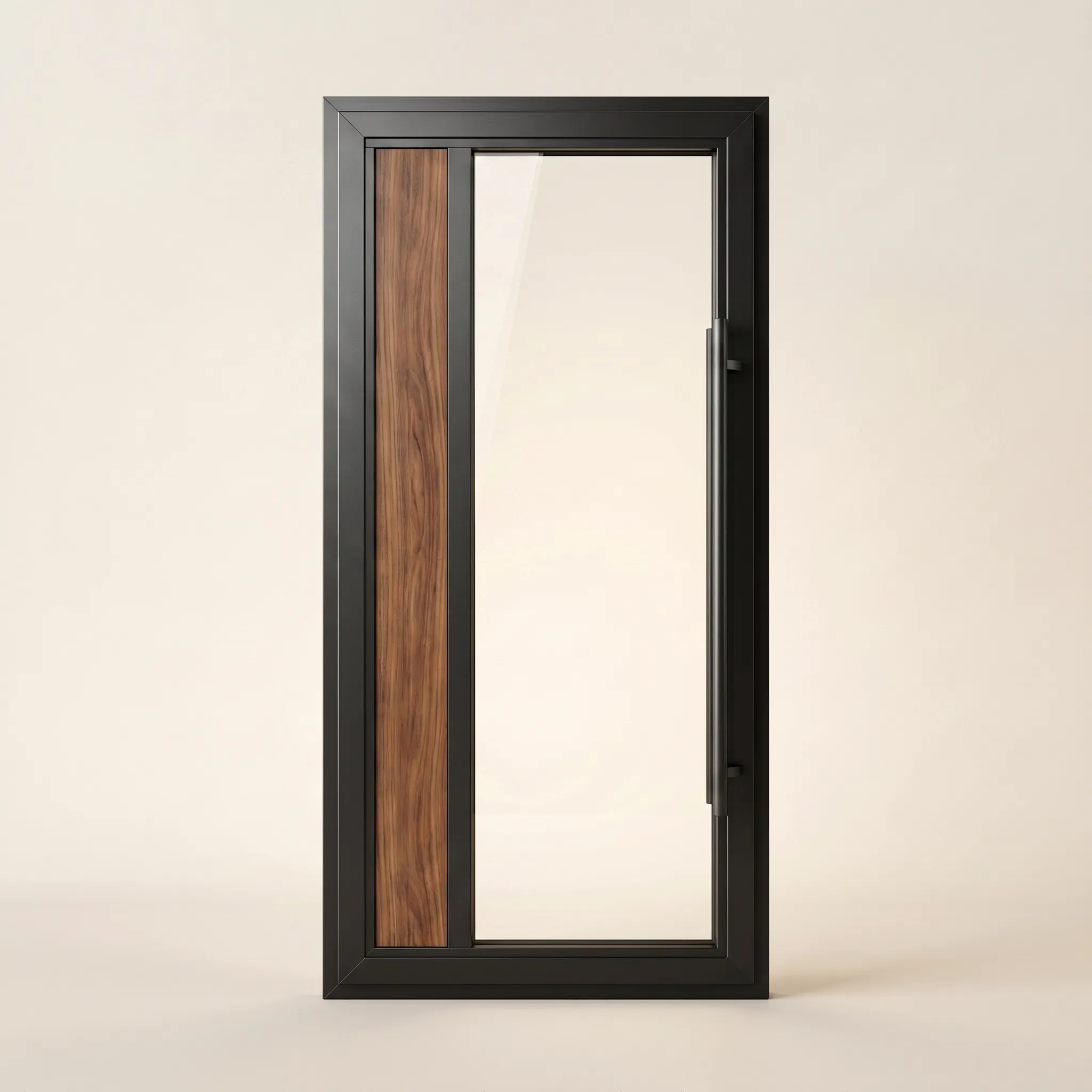 Entry door in matte black aluminum
