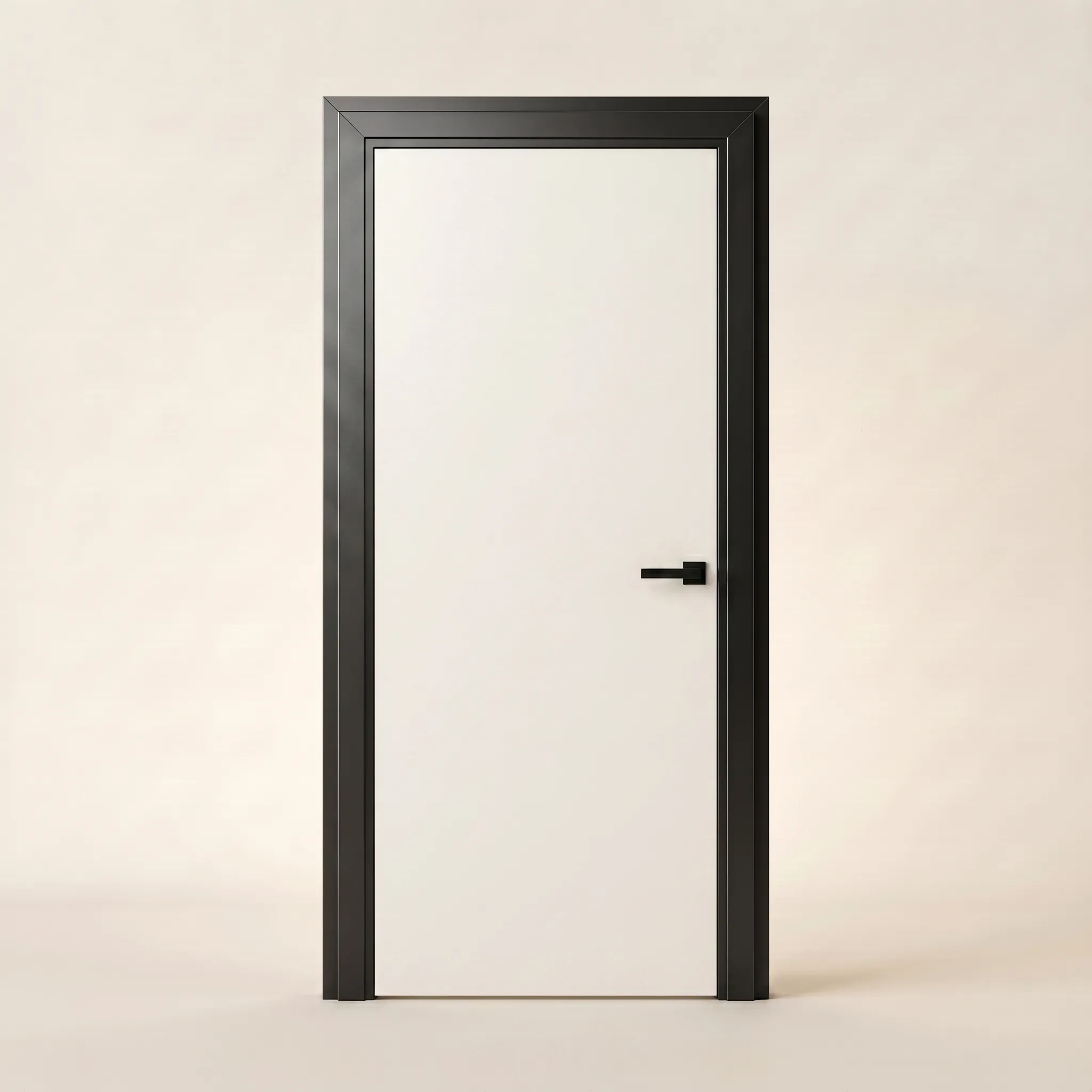 Interior door in a flush panel finish