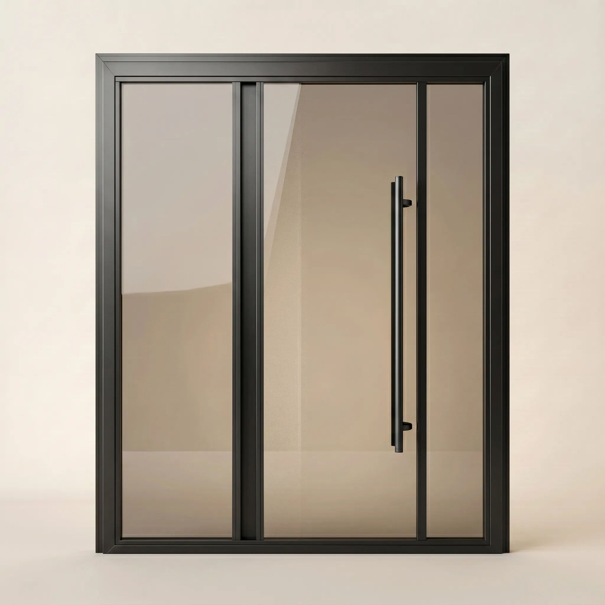 Pivot door in matte black aluminum